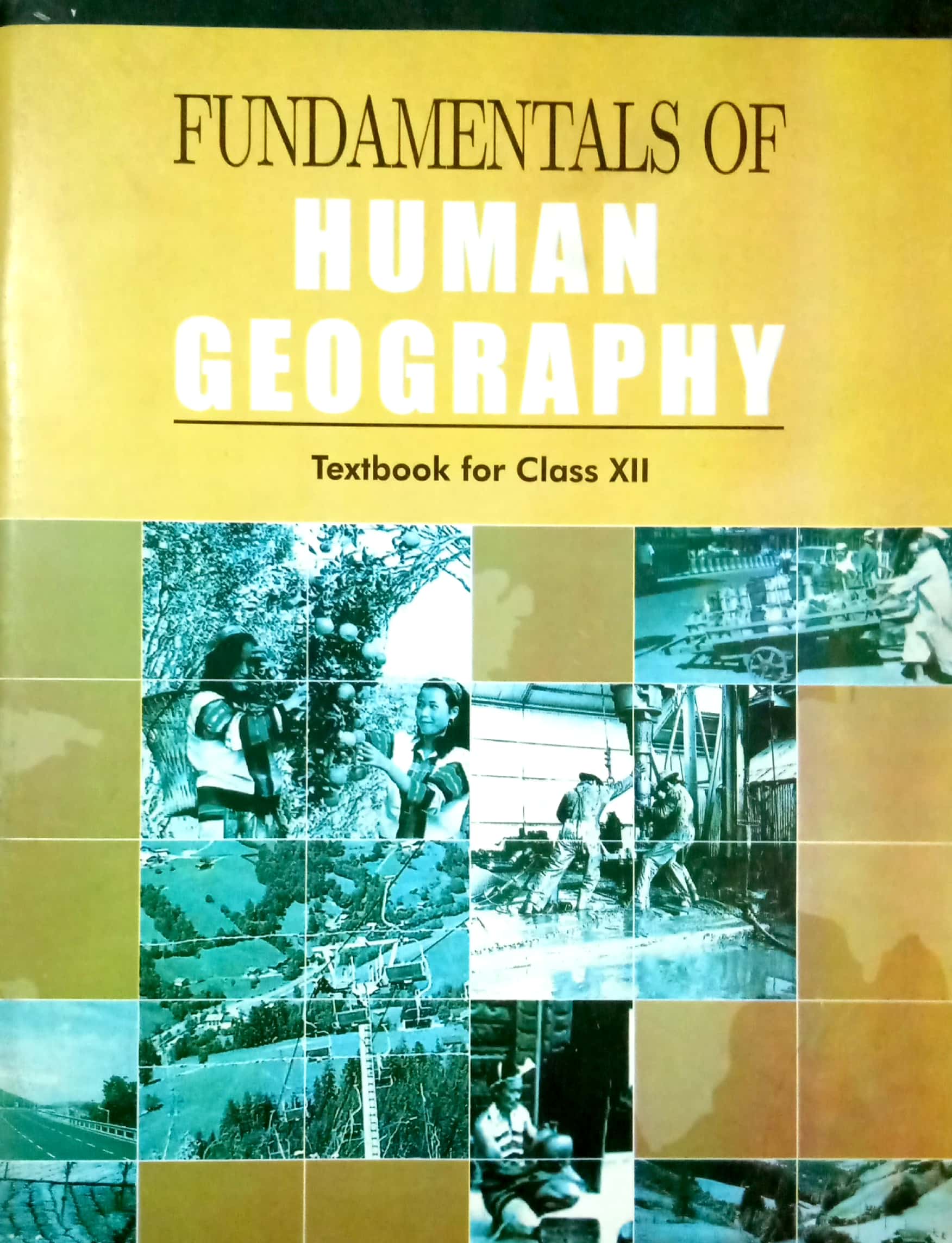 Fundamentals of Human geography